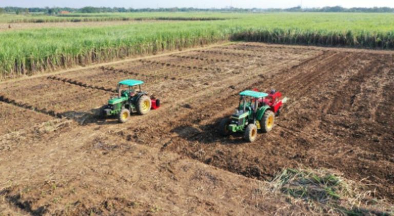 Pemerintah Genjot Swasembada Pangan Nasional: Kolaborasi Masif dan Alokasi Dana Triliunan Rupiah