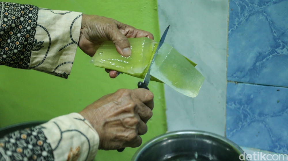 Dari Pot Sederhana Menuju Pasar Global: Kisah Sukses Warsiti dan Produk Lidah Buaya Fafa Aloe Vera
