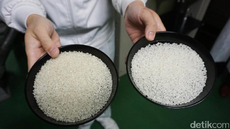 Lonjakan Harga Beras di Jepang: Indonesia Waspada Ancaman Krisis Pangan Global