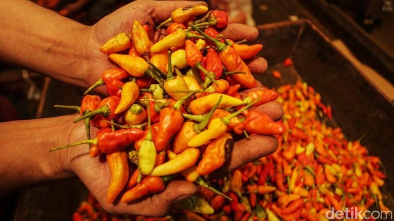 Biang Kerok Lonjakan Harga Cabai Tembus Rp100.000/Kg: Cuaca Ekstrim dan Antisipasi Lebaran