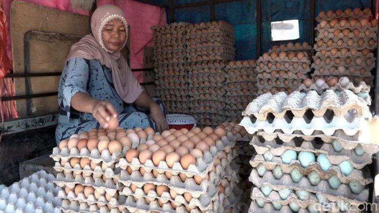 Indonesia Surplus Telur dan Daging Ayam Selama Dua Dekade: Temuan Mengejutkan dari Program Makan Bergizi Gratis