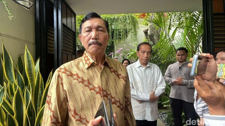 Luhut Bela Jokowi, Imbau Kritik Konstruktif dan Hindari Fitnah