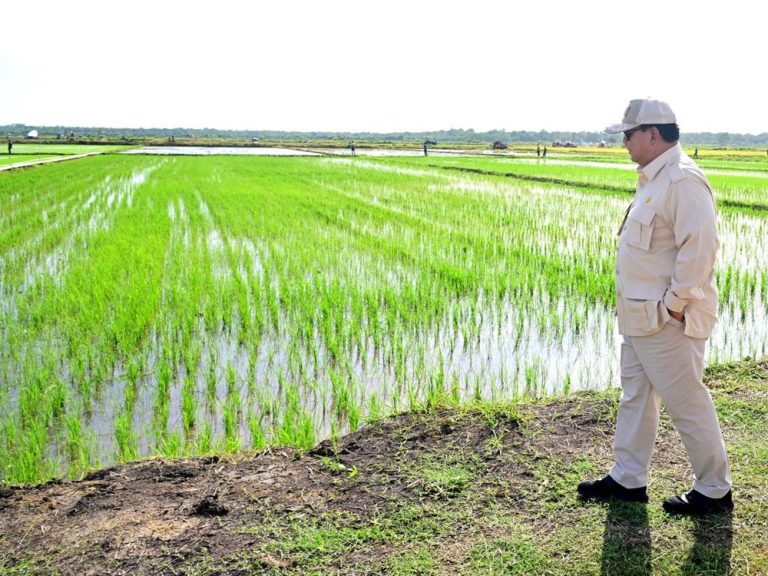 Prabowo Dorong Revolusi Ketahanan Pangan Nasional Lewat Koperasi Desa Merah Putih
