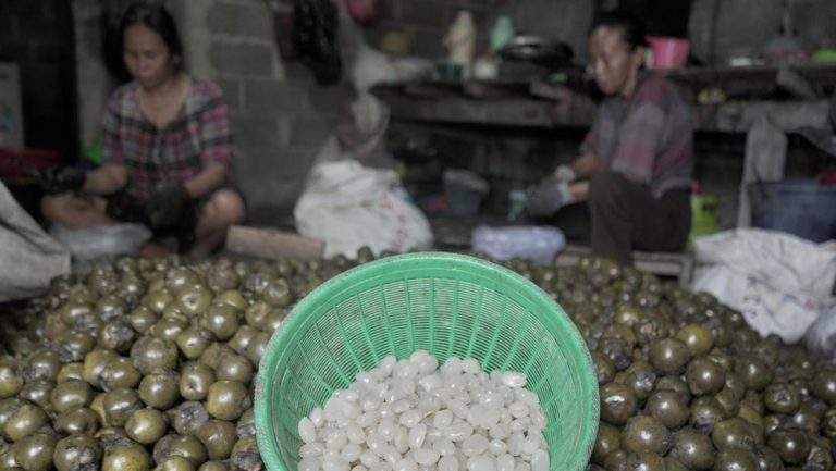 Laris Manis Kolang-kaling: Ramadan Dorong Lonjakan Permintaan dan Harga di Temanggung