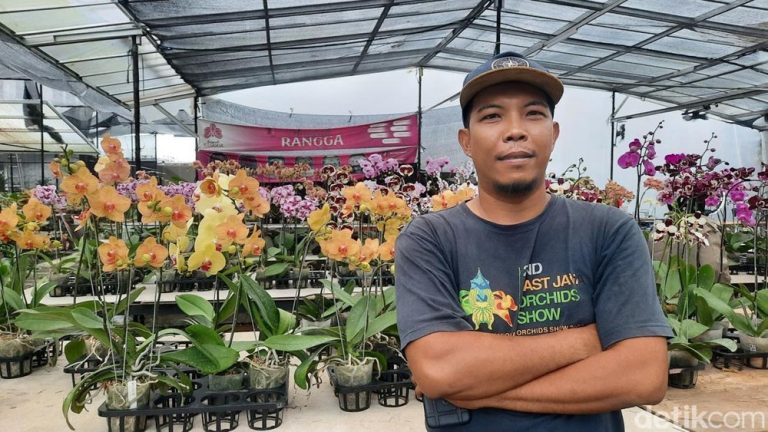 Mekarnya Bisnis Anggrek Ragunan Berkat Suntikan Kredit Usaha Rakyat (KUR) Mikro BRI