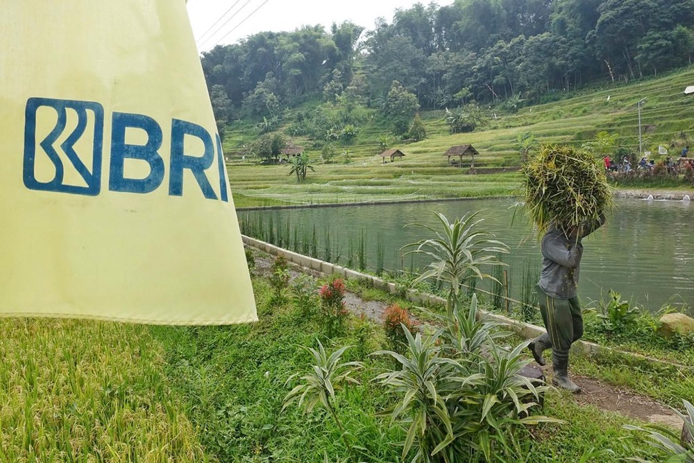 BRI: Implementasi ESG Bukan Sekadar Tren, Melainkan Strategi Bisnis Fundamental