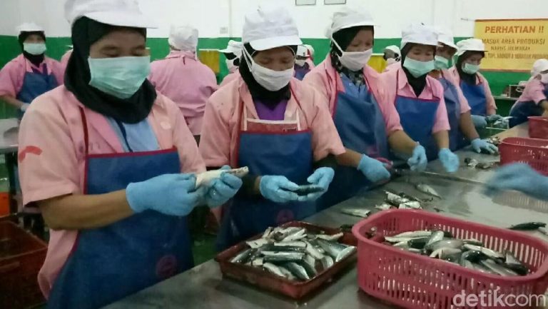 660 Unit Pengolahan Ikan Indonesia Tembus Pasar Korea: Hasil Negosiasi Jangka Panjang dan Kerja Sama Bilateral yang Membuahkan Hasil