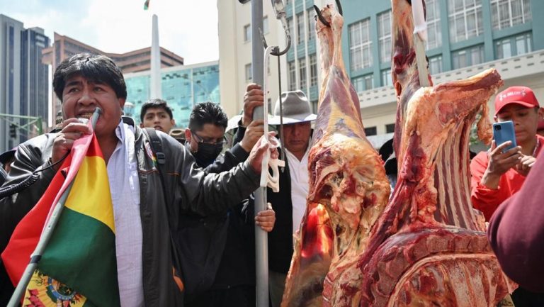 Amarah Tukang Daging Bolivia: Tanduk Sapi Melayang, Inflasi Membara
