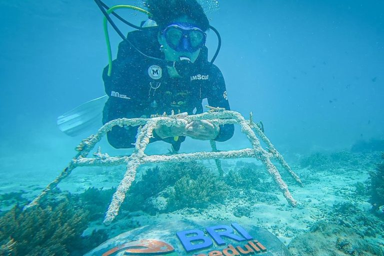BRI Kembangkan Inisiatif "Grow & Green" untuk Restorasi Ekosistem Laut dan Penguatan Ekonomi di Gili Matra, NTB