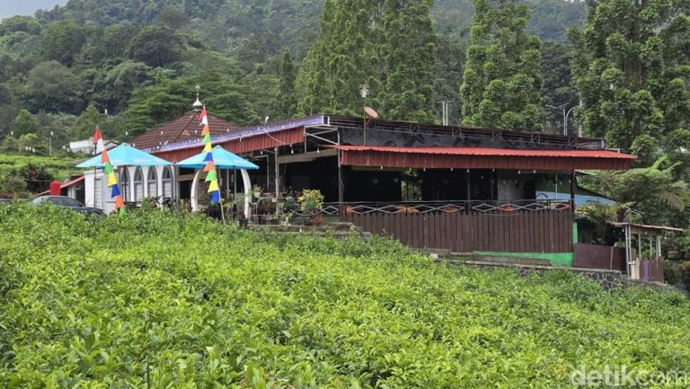 BUMDes Tugu Selatan Mandiri: Kolaborasi sebagai Kunci Sukses di Puncak, Bogor