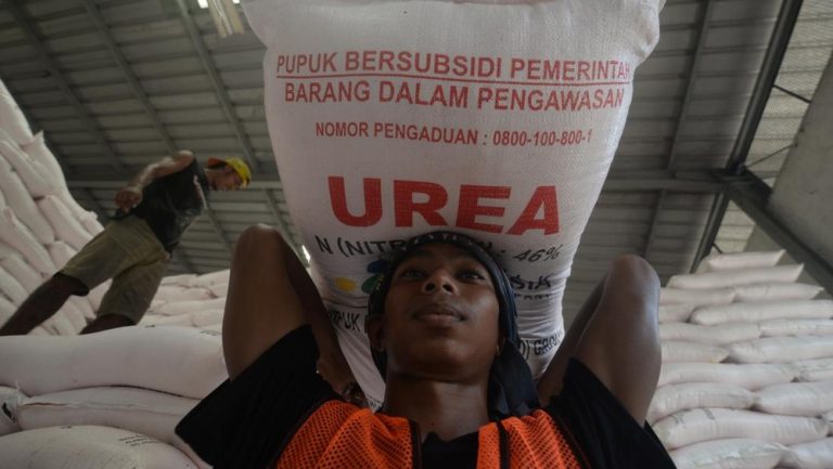 Pupuk Indonesia Raih Capaian Signifikan: Distribusi Pupuk Subsidi Melonjak, Program MAKMUR Berbuah Hasil
