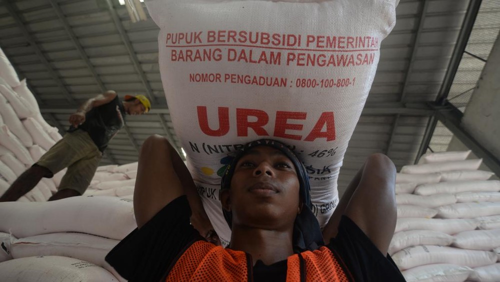 Pupuk Indonesia Raih Capaian Signifikan: Distribusi Pupuk Subsidi Melonjak, Program MAKMUR Berbuah Hasil