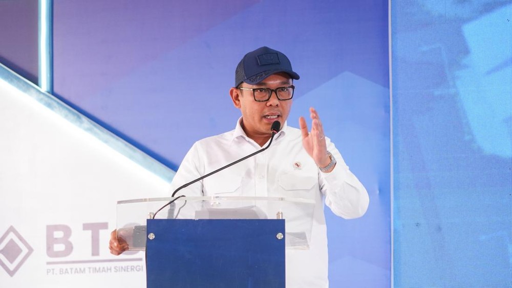 Kejar Target Investasi Rp 162 Triliun, Wamen Investasi Dorong Akselerasi Pengembangan KEK Palu
