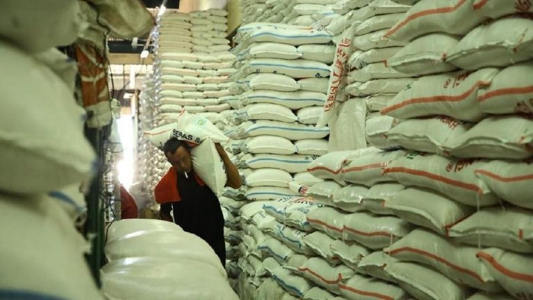 Stok Beras Nasional Mendekati 4 Juta Ton, Rekor Tertinggi Sepanjang Sejarah?