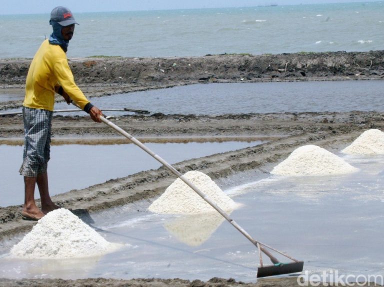 KKP Incar Rote Ndao, NTT, sebagai Sentra Garam Industri Nasional: Target Swasembada 2027 di Ujung Tanduk KKP Incar Rote Ndao, NTT, sebagai Sentra Garam Industri Nasional: Target Swasembada 2027 di Ujung Tanduk
