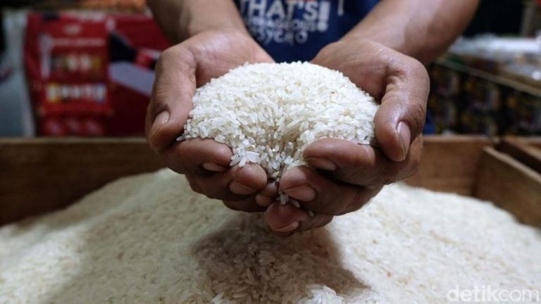 Anjloknya Harga Beras Dunia: Dampak Kebijakan Indonesia dan Prospek Ketahanan Pangan Nasional