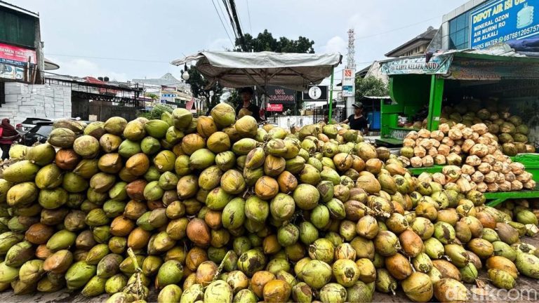 Kementerian Pertanian Pacu Hilirisasi Industri Kelapa, Dorong Kesejahteraan Petani dan Ketahanan Pangan Nasional