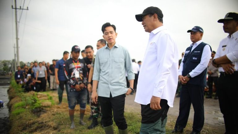 Cadangan Beras Nasional Tembus 3,9 Juta Ton: Capaian Tertinggi Sepanjang Sejarah, Apresiasi Gibran dan Sorotan terhadap Kinerja Kementerian Pertanian