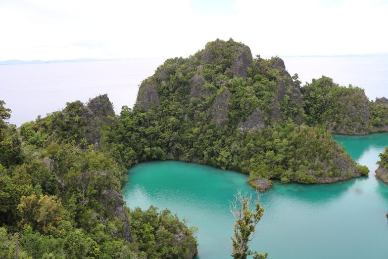 Pencabutan Izin Tambang Nikel di Raja Ampat: Dampak dan Solusi bagi Lingkungan dan Masyarakat