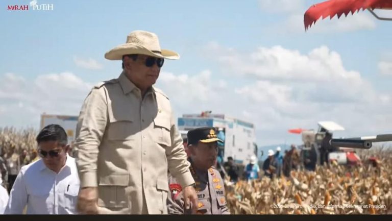 Ekspor Perdana Jagung 1.200 Ton ke Malaysia: Indonesia Maju Menuju Kedaulatan Pangan