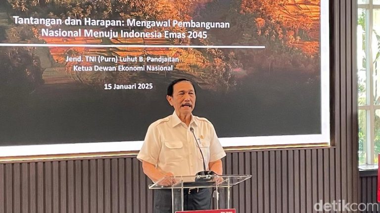 Negara Maju Tak Ingin Negara Berkembang Maju, Klaim Luhut Usai Bahas Potensi Ekspor Nikel