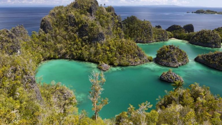 Pemerintah Hentikan Sementara Izin Penggunaan Kawasan Hutan di Raja Ampat: Respon atas Dugaan Kerusakan Ekosistem Akibat Aktivitas Pertambangan